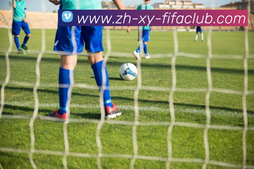 世界杯买球平台生态图