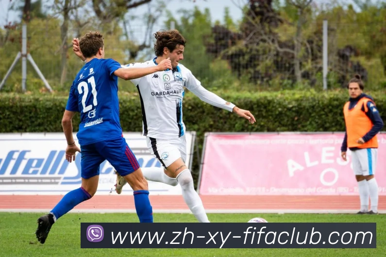 世界杯买球APP 封面图