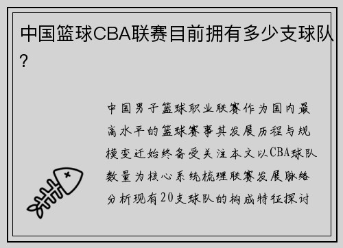 中国篮球CBA联赛目前拥有多少支球队？